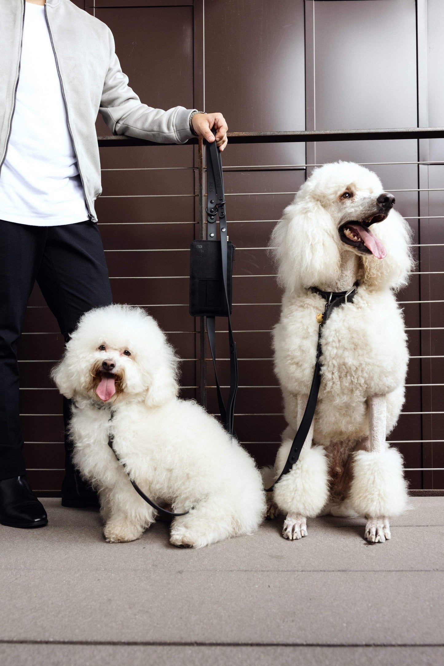 BEIS The Pet Leash in M/L