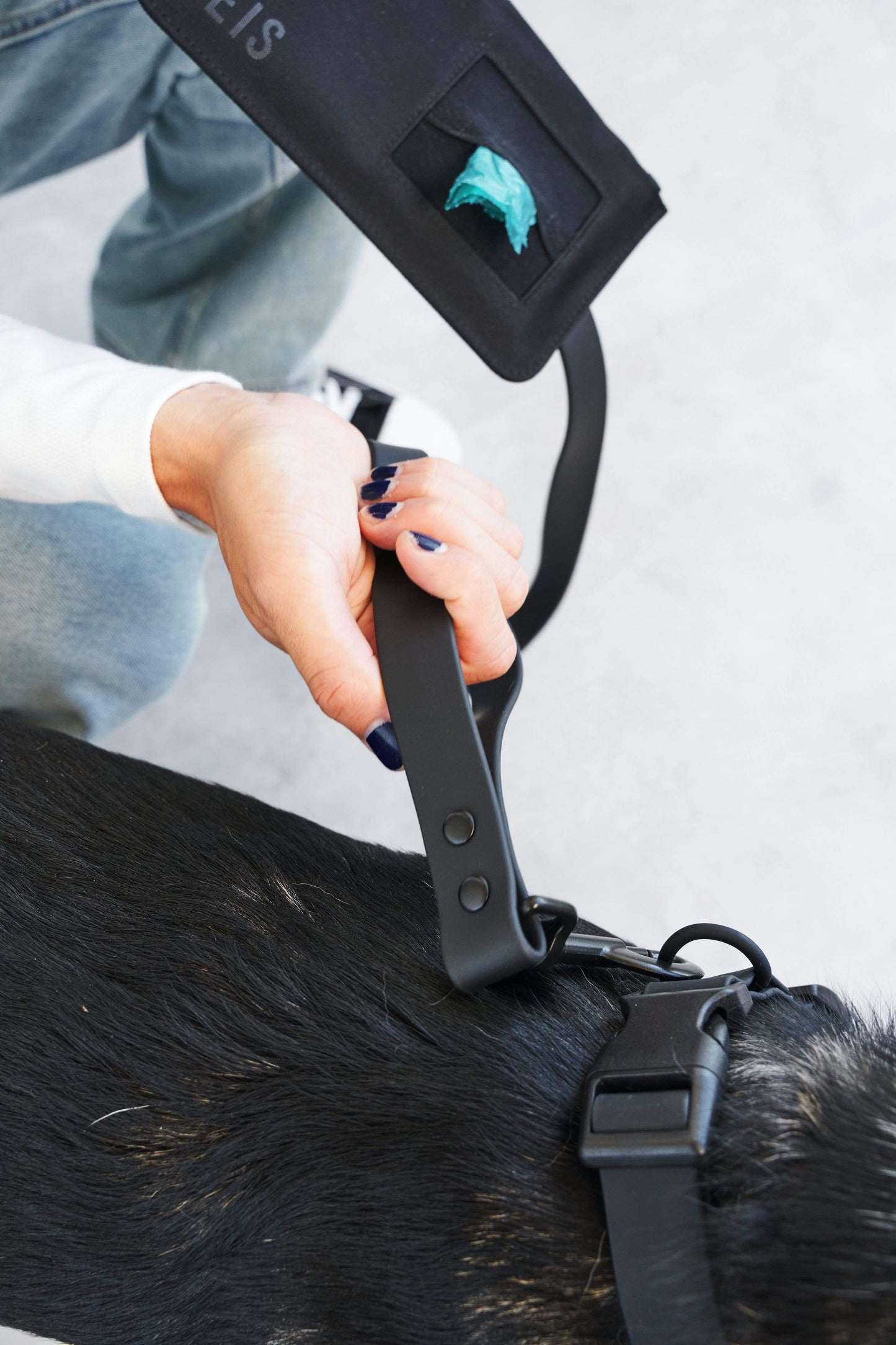 BEIS The Pet Leash in M/L