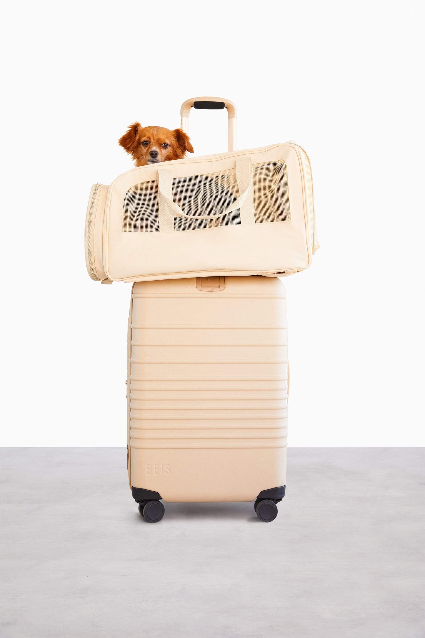 The Regulation Pet Carry-on in Beige