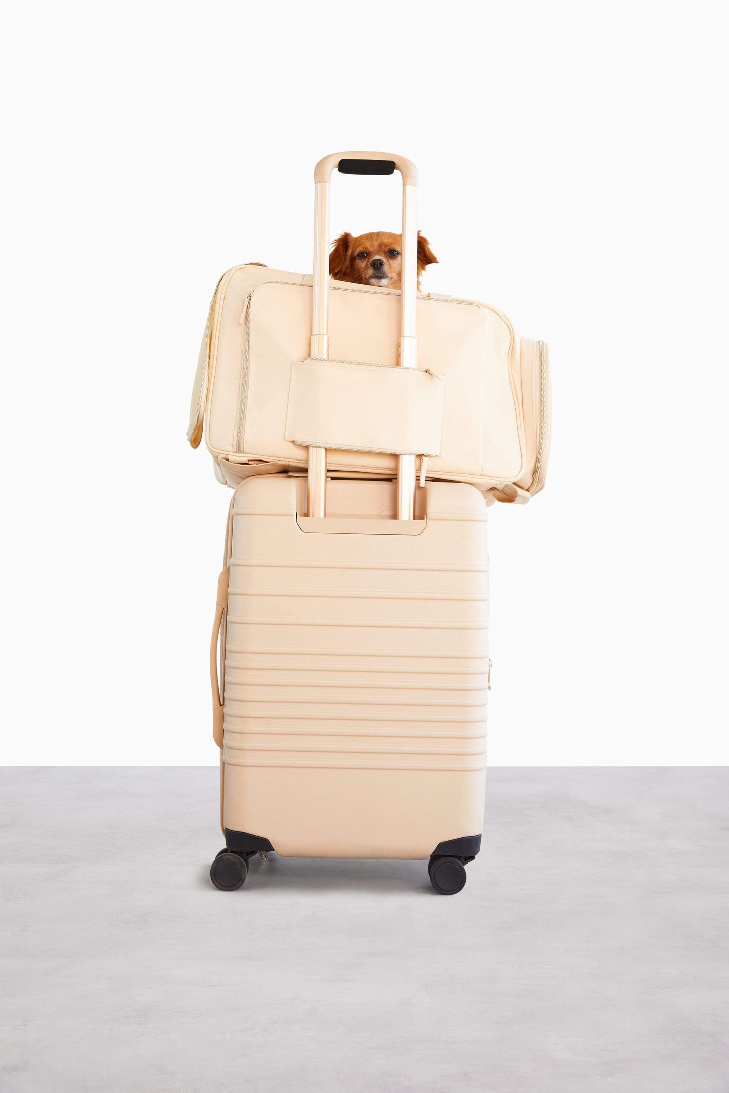 The Regulation Pet Carry-on in Beige