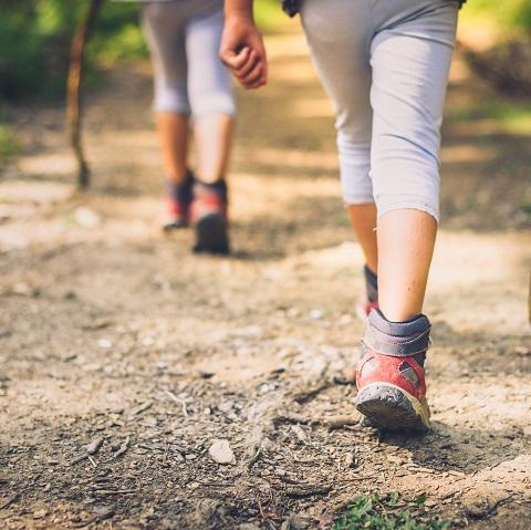 Legs of two girls hiking through woods