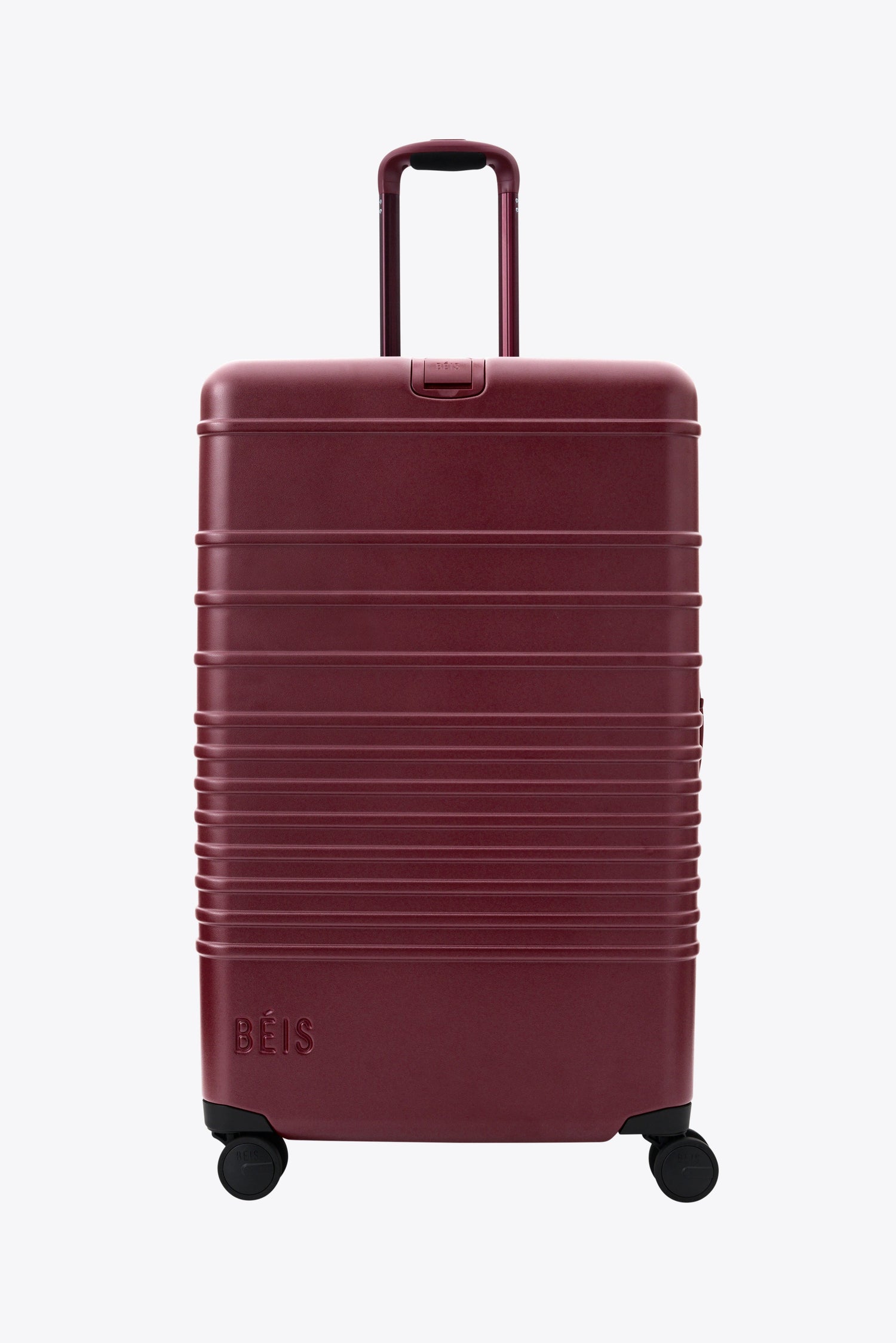 Check-In Luggage