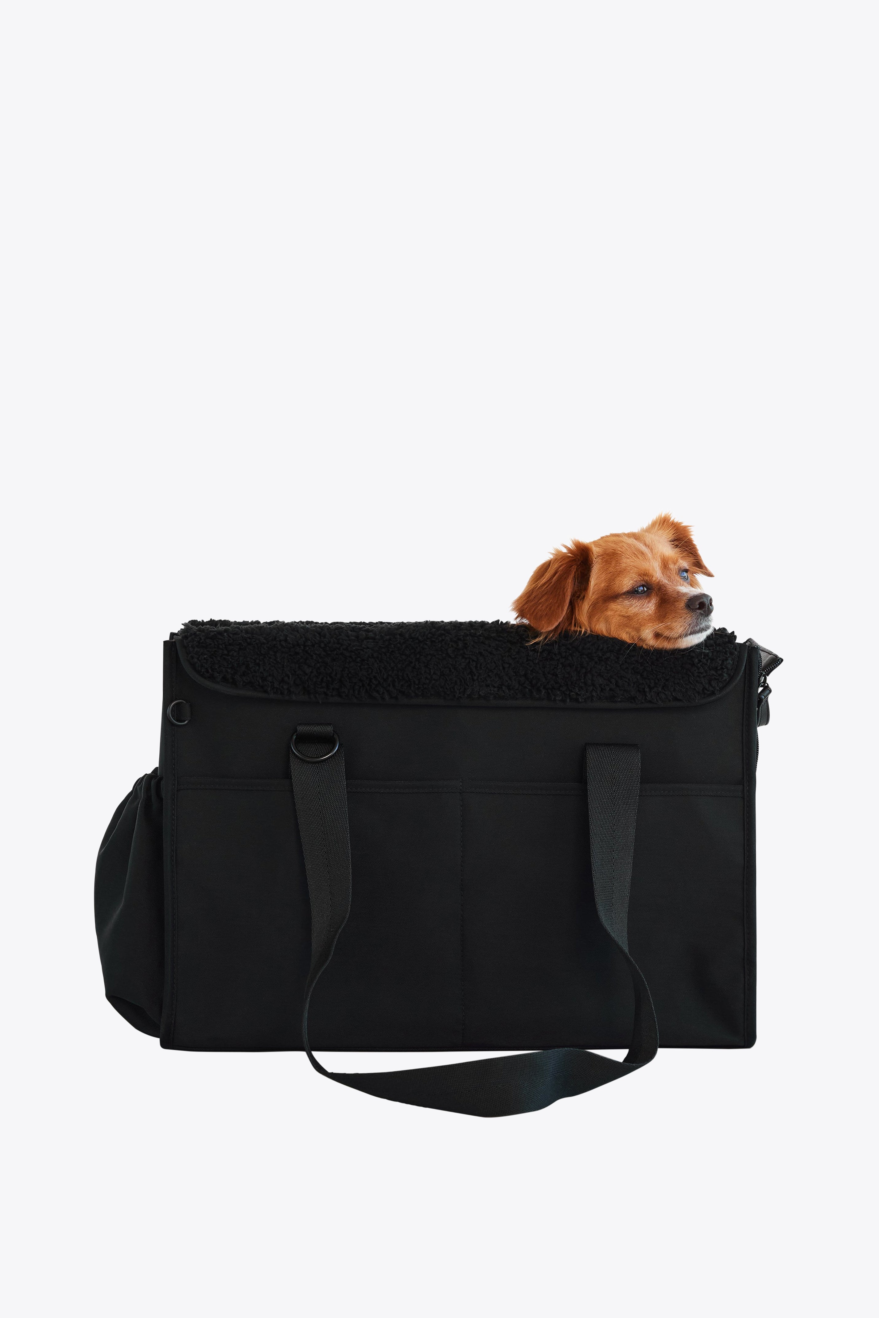 Black 2024 dog carrier