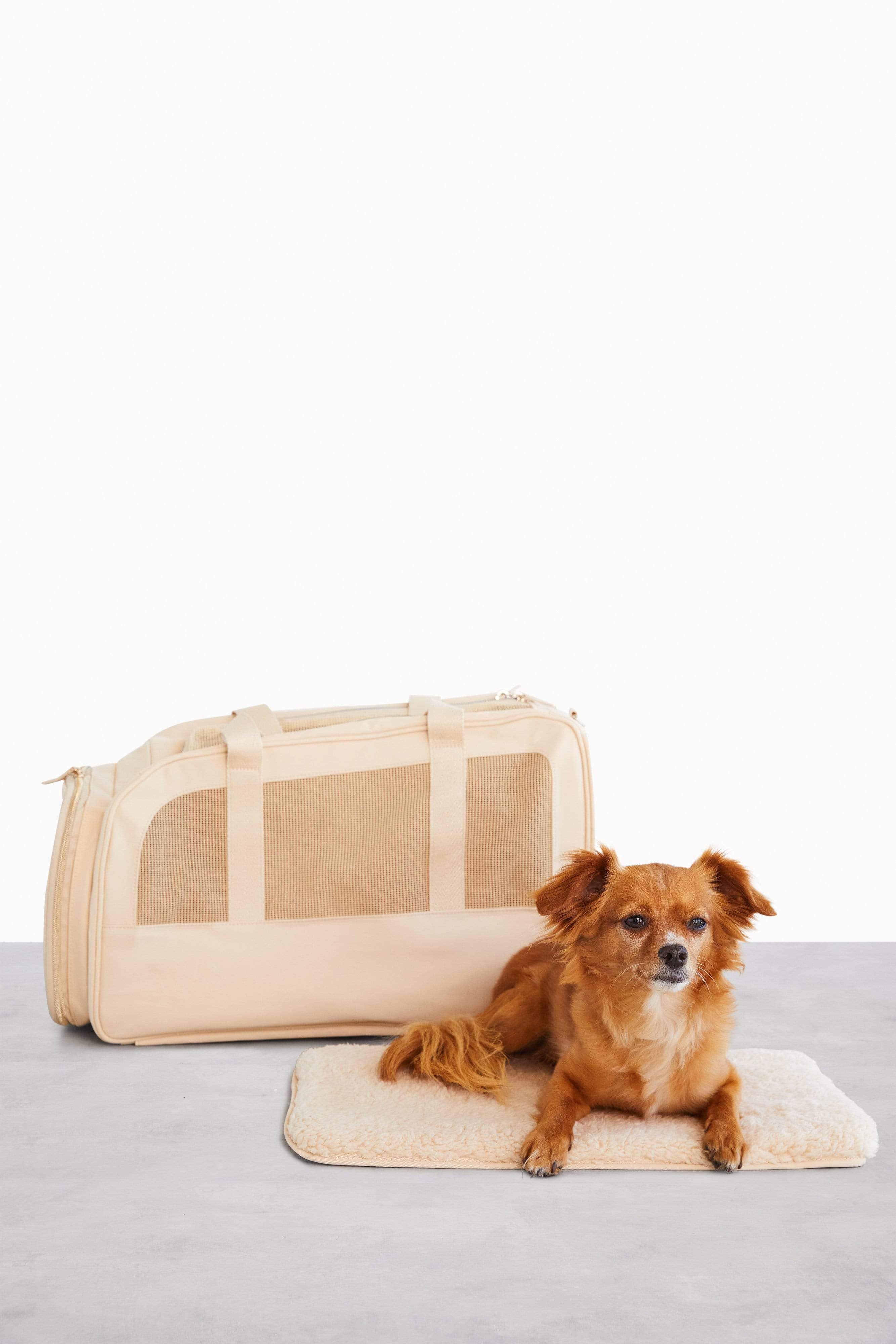 Dog travel bag outlet uk